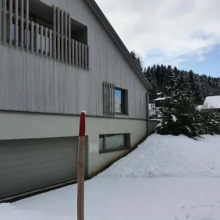 Spacieux Studio 38M2 Les Paccots Exterior photo