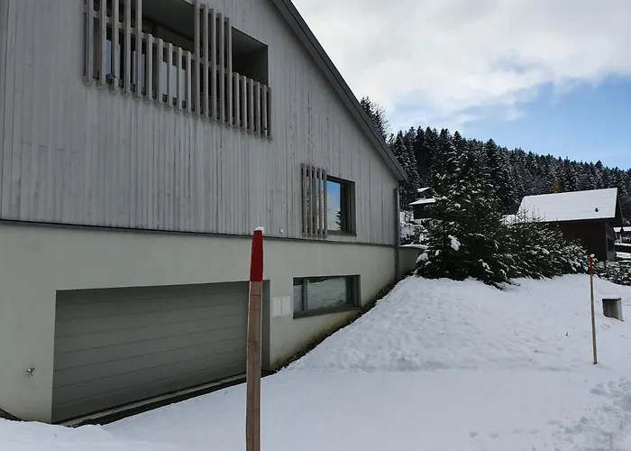 Spacieux Studio 38M2