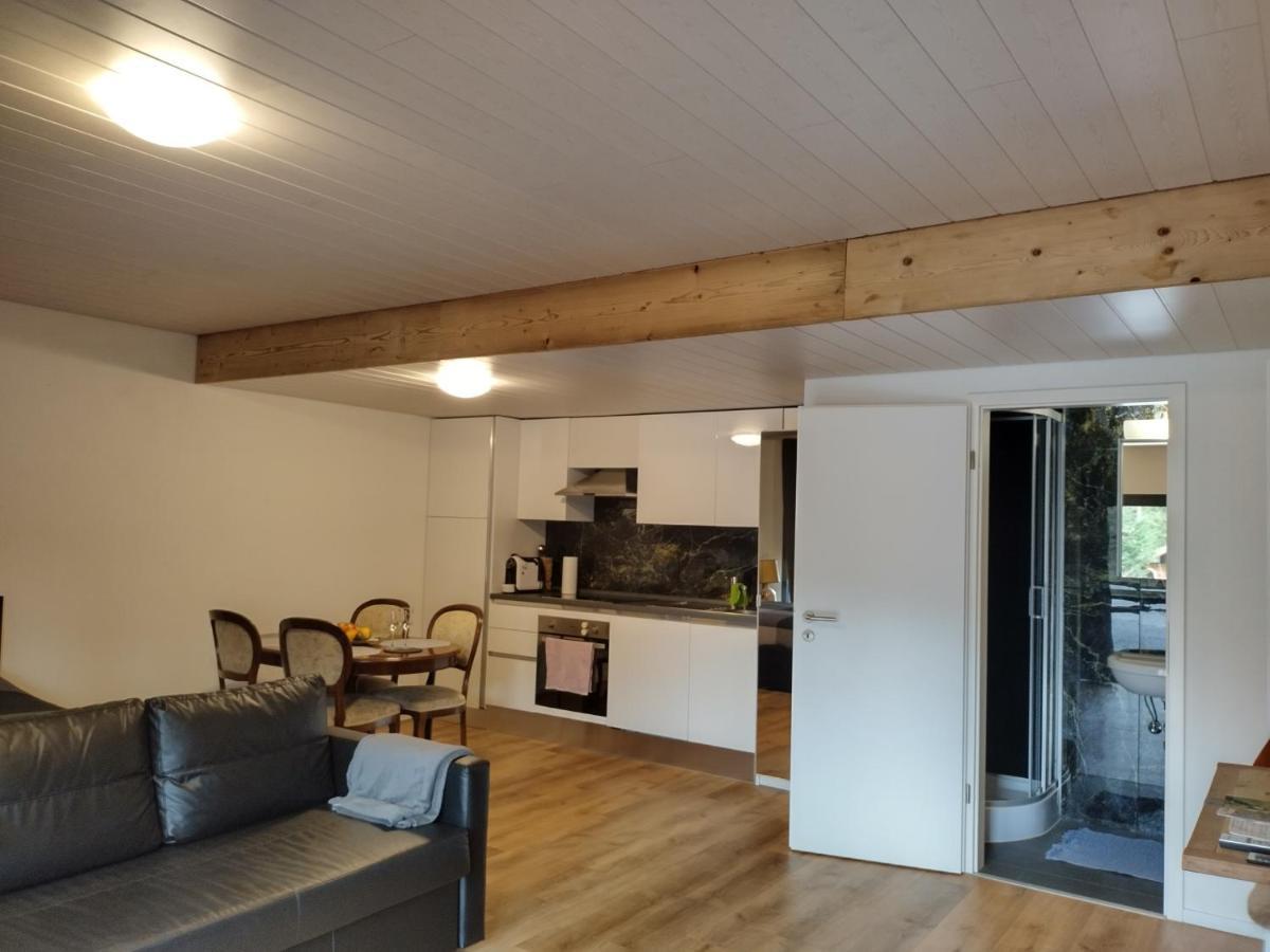 Apartment Spacieux 38m2